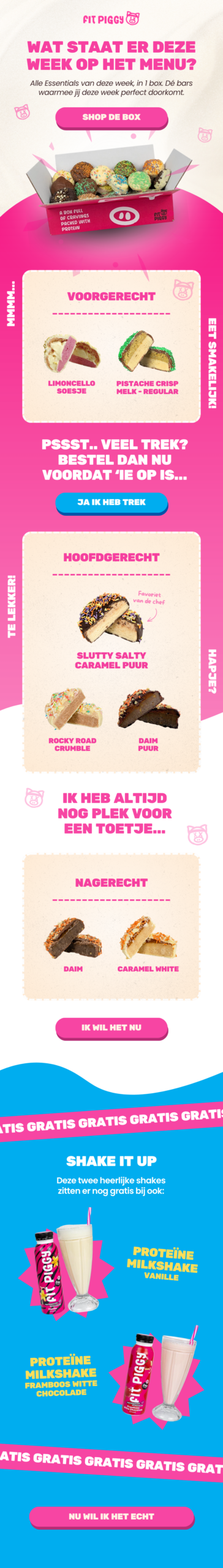 Voorbeeld emailontwerp Fit Piggy