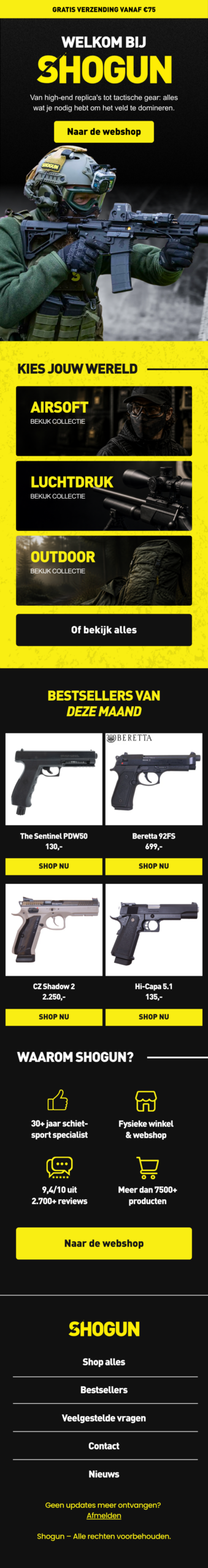 Voorbeeld emailontwerp Shogun